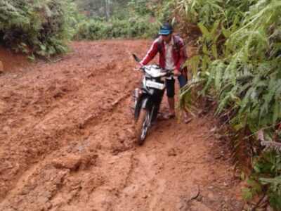 Jalan Masih Tanah, Guru Honorer Minta Perhatian Pemerintah