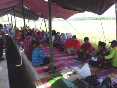 Bupati BU Hadiri Acara “Wiwitan” Desa Karya Jaya