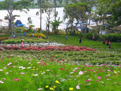 Sambut Visit Wonderful 2020, Dispar RL Fokus Kembangkan Potensi Wisata
