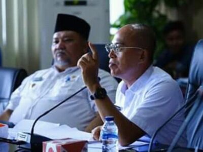 Pemberdayaan Disabilitas Butuh Kerjasama Seluruh Elemen