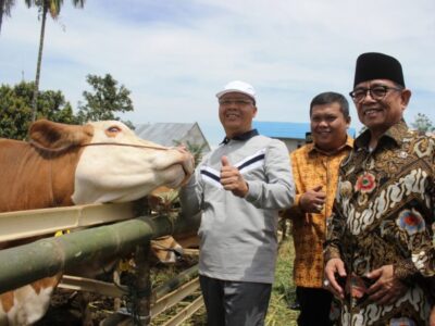 Didukung Penuh Bupati Kepahiang, Mountain Valley Festival 2018 Sukses