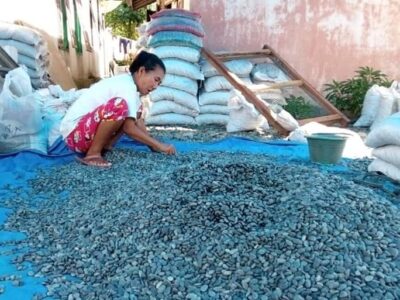 Pemkab Bengkulu Selatan Dorong Optimalisasi BUMDes