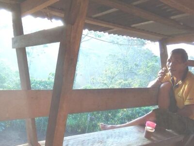 Mem-Pilarkan Harap di Puncak Bukit Daun