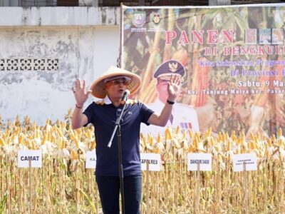 Program Jagung Mampu Tingkatkan Ekonomi Masyarakat