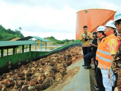 Rohidin Mersyah: Komoditas Sawit Mampu Menutupi Defisit Negara