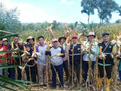 Petani Kedurang Sukses Manfaatkan Lahan Kering Perhutani