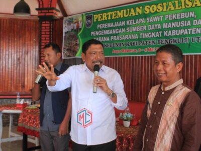 Pemkab BU Targetkan 3581 Hektare Replanting Kelapa Sawit