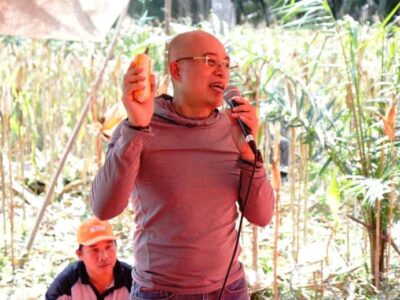 Panen Jagung di Desa Gunung Kayo, Bupati Apresiasi KWT Bina Bersama