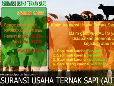 Program AUTS Dorong Semangat Peternak