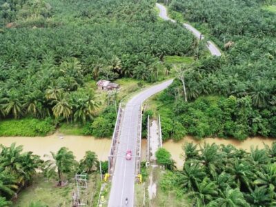 Distan Bengkulu Selatan Rancang Tim Koordinasi Pengawas Perkebunan