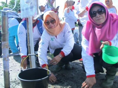 Tanam Mangrove, Upaya Selamatkan Bumi Dari Perubahan Iklim