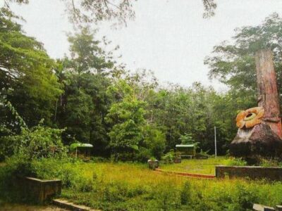 Garap Tahura, Pemkab Benteng Jalin Kerjasama dengan UNIB