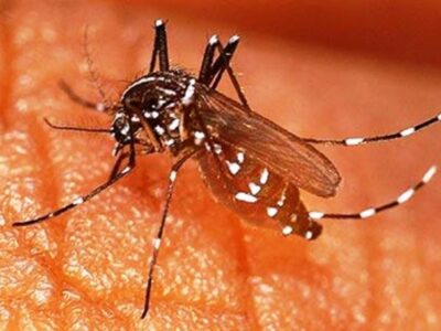 Fokus Kendalikan Malaria di Kota Bengkulu