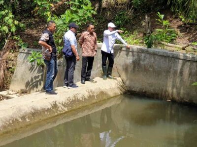 Kembalikan Kejayaan Beras Kedurang, Bupati Bengkulu Selatan Tertibkan Kolam Air Deras
