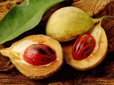 Buah “Emas” yang Diperebutkan Dunia