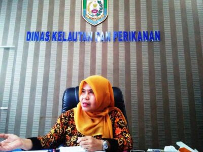 DKP Sebut Hasil Tangkapan Ikan Bengkulu Belum Penuhi Standar Ekspor