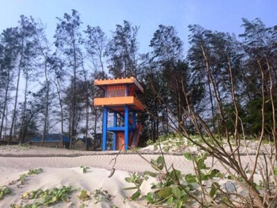 Sabuk Hijau Peredam Tsunami yang Hilang