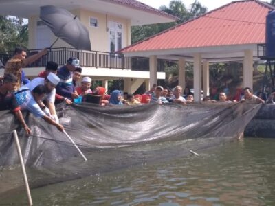 DKP Kota Bengkulu Panen Perdana Program Sejuta Ikan