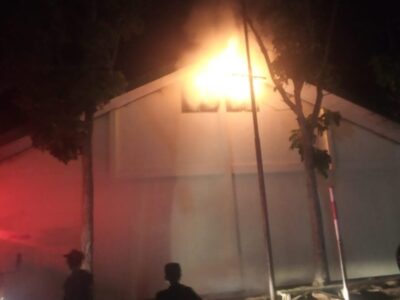Si Jago Merah Kembali Mengamuk di Bengkulu Utara