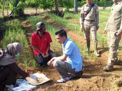 2020 Mendatang, Distan Mukomuko akan Rekrut Penyuluh Swadaya
