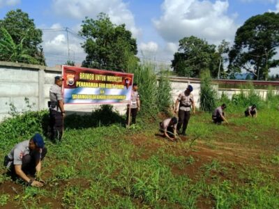 Peduli Lingkungan, Polda Bengkulu Tanam Pohon