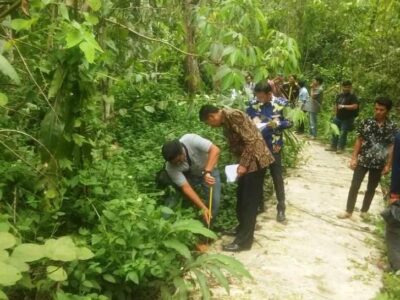 Pemdes Sungai Jernih Monitoring Pembangunan Desa 2019