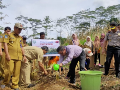 Cegah Longsor, Bupati Hidayat Tanam Bibit Vetiver