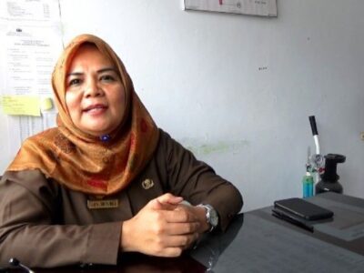 Sikapi Virus Corona, Direktur RSHD Minta Masyarakat Tetap Tenang dan Waspada