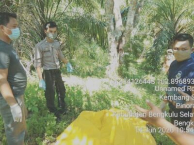 Polisi Bersama Warga Evakuasi Jenazah Warga Pino Raya yang Ditemukan Terjepit Pohon