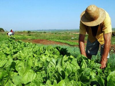 Reforma Agraria, Maksimalkan Manfaat Tanah untuk Rakyat