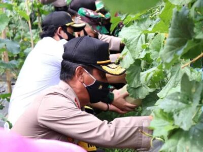 Kapolda Bengkulu Gelar Panen Raya Kampung Tangguh Nusantara