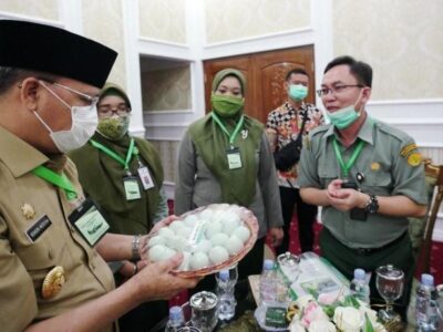 Pemprov Bengkulu Dukung Kementan Riset Eucalyptus sebagai Antivirus