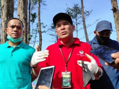 Formasi Dua Spesies Balai KSDA Bengkulu Atasi Gangguan Kawasan Konservasi