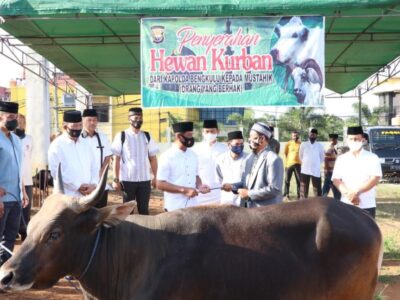 23 Ekor Hewan Kurban Polda Bengkulu Dibagikan ke Masjid, Pesantren Hingga Panti Asuhan