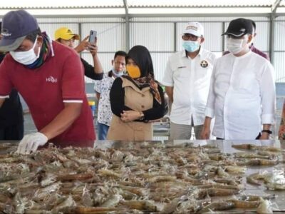 Peluang Investasi, Gubernur Dorong Optimalkan Potensi Pesisir Bengkulu