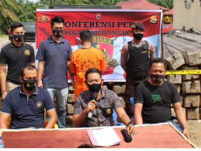 Polres Mukomuko Berhasil Bekuk Pelaku Illegal Logging