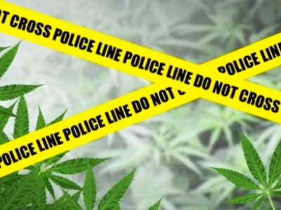 Kuasai Ganja, Pemuda Pino Raya Diamankan Polisi