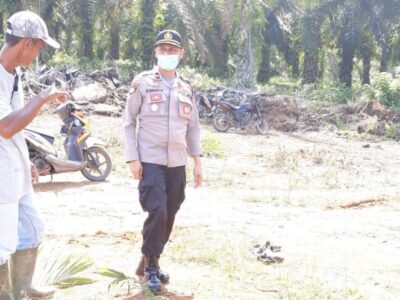 Polisi Selidiki Laporan Pengrusakan Tanaman Sawit Milik PT MMAS
