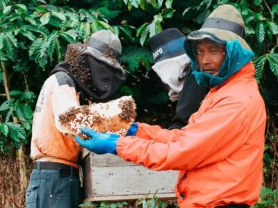 Asosiasi Desa Wisata Bengkulu Dikukuhkan