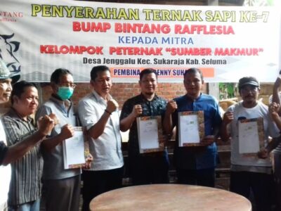 BUMP Bintang Rafflesia Kembali Serahkan Empat Sapi ke Kelompok Peternak