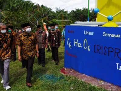 Gubernur Apresiasi Model Pendidikan SMK Agribisnis Dangau Datuk Bengkulu