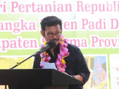 Bengkulu Berpotensi Jadi Salah Satu Lumbung Padi Nasional