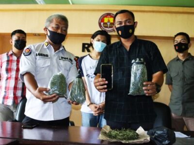 Ditresnarkoba Polda Bengkulu Tangkap Mahasiswa Kuasai Ganja