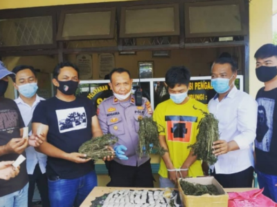 Polsek Ratu Agung Tangkap Pemuda Miliki 2 Kg Ganja