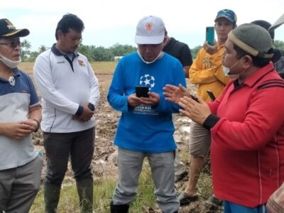 Bupati Sapuan Turun ke Sawah Dengar Keluhan Petani