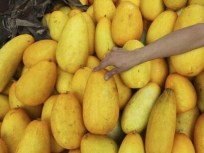 Timun Suri atau Melon Suri? Buah yang Familiar Saat Ramadan