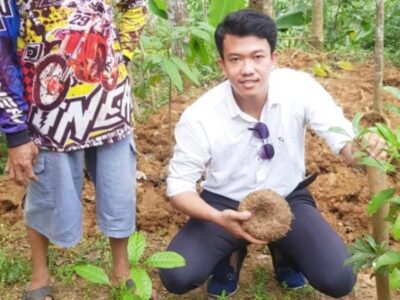 Bung Yogi Ajak Pemerintah dan Masyarakat Budidaya Tanaman Porang