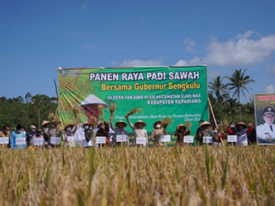 Panen Raya di Kepahiang, Pemprov Bengkulu Terus Dorong Sektor Pertanian