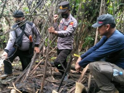 Bangkai Gajah yang Ditemukan di Lahan PT BAT Diduga Kena Racun
