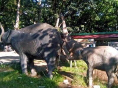 Investor Siapkan Rp 40 M Bangun Taman Remaja